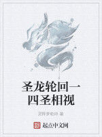 聖龍輪迴一四聖相視
