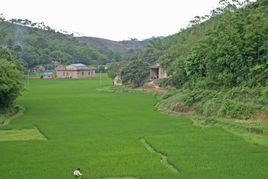 壩上村[雲南宣威市海岱鎮下轄村]