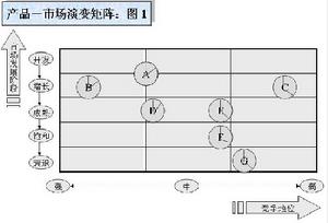 產品/市場演變矩陣