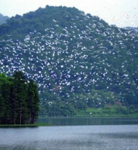 白鷺湖國家森林公園