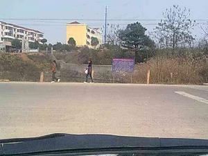 順安駕校 順安駕校