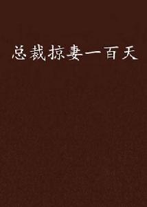 總裁掠妻一百天 總裁掠妻一百天