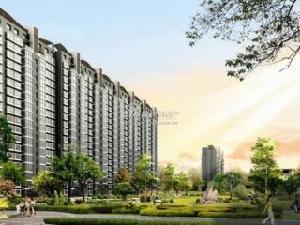 世紀星城全朝陽 世紀星城全朝陽