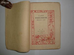 新寫實主義文學