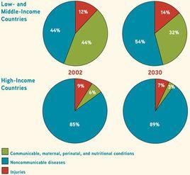 疾病負擔 疾病負擔