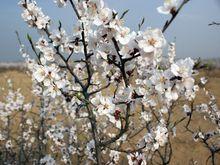 五里村[福建武夷山市新豐街道下轄村]