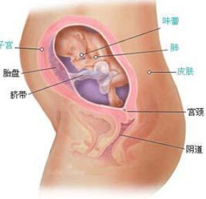 胎兒宮內窒息
