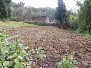 小良子村自然資源-耕地