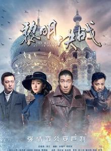 黎明決戰[2017年劉江執導電視劇]