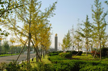 山東輕工業大學 山東輕工業大學