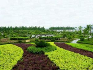 長河農業科技園區