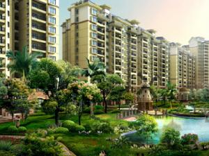 金灣藍岸 金灣藍岸