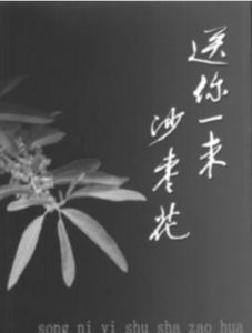 送你一束沙棗花 送你一束沙棗花