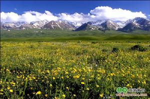 那拉提草原風景區