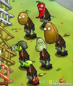 堅果牆殭屍 堅果牆殭屍