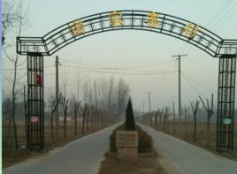 謝家寨村[河北省南宮市南便鄉謝家寨村]