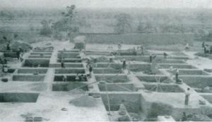 王灣文化遺址 王灣文化遺址