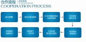 合作流程