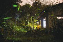 廈門螢火蟲公園