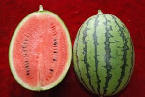 航興天秀2號 航興天秀2號