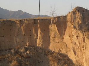 樓煩古城遺址 樓煩古城遺址