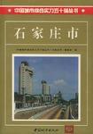 中國城市綜合實力五十強叢書 中國城市綜合實力五十強叢書