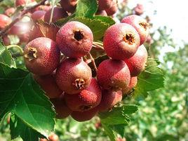 敞口[詞語釋義]