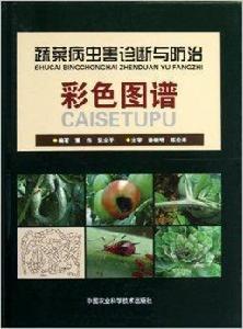 蔬菜病蟲害診斷與防治彩色圖譜 蔬菜病蟲害診斷與防治彩色圖譜