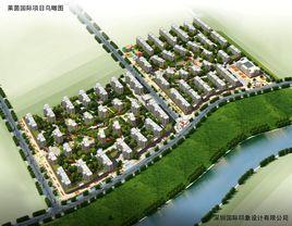 萊茵國際 萊茵國際