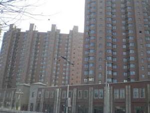 亞美利加一期 亞美利加一期