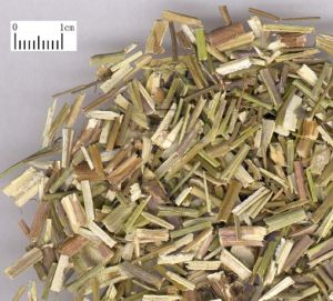 荊芥地黃湯 荊芥地黃湯