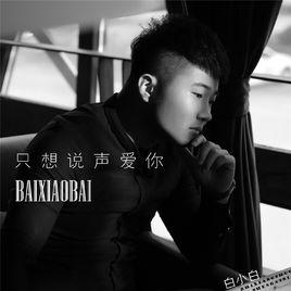 只想說聲愛你 只想說聲愛你