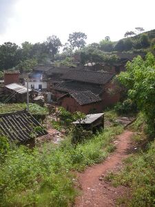 龍灰自然村 龍灰自然村