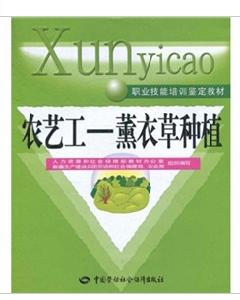 農藝工：薰衣草種植