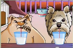 狗狗飲食比賽 狗狗飲食比賽