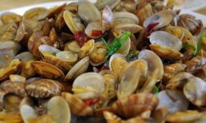 蓌蒻蛤蜊 蓌蒻蛤蜊