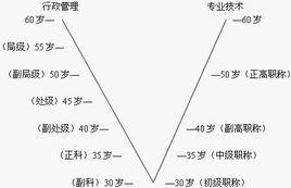 職業生涯路線 職業生涯路線