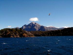 尼查科河 尼查科河