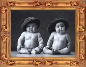 安妮·哥蒂斯 安妮·哥蒂斯