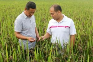 黃崗山墾殖場 黃崗山墾殖場