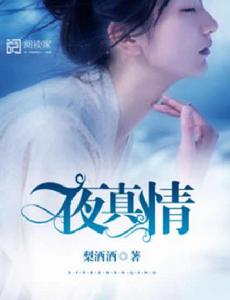 一夜真情 一夜真情