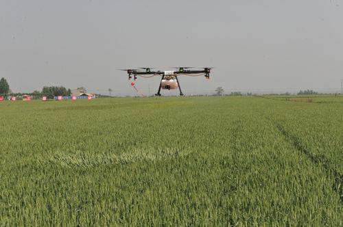 岐山縣小麥“一噴三防”多旋冀無人機作業