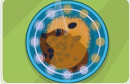 巧手做餅乾 巧手做餅乾