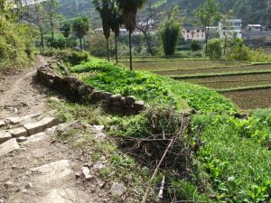 桃園自然村 桃園自然村