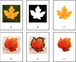 alpha通道 alpha通道