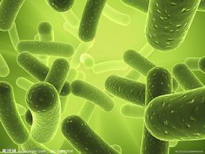 面神經激活再生療法 面神經激活再生療法