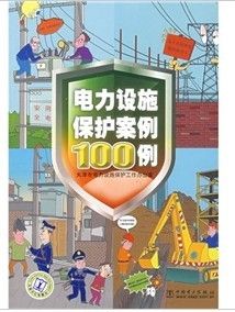 《電力設施保護案例100例》 《電力設施保護案例100例》