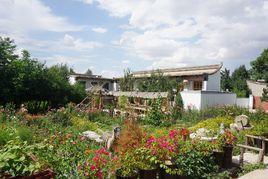 顧家善村 顧家善村