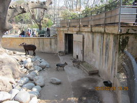 巴塞隆納動物園