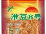 淮豆8號 淮豆8號